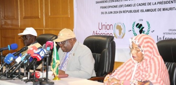 Crise post-électorale en Mauritanie : la MOEUA  appelle à la retenue