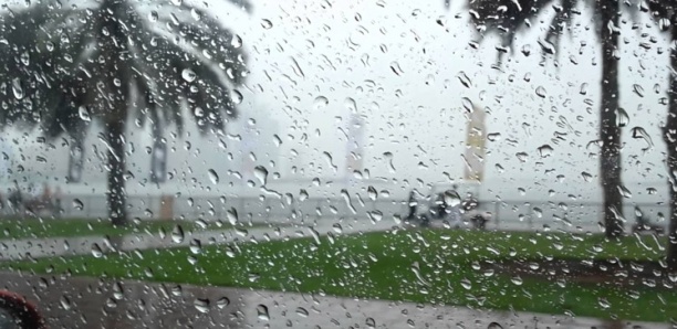 Météo : L&rsquo;Anacim annonce l&rsquo;arrivée d&rsquo;orages et de pluie avec des vents forts dans…