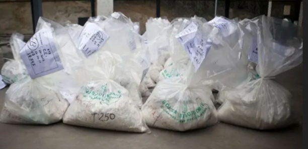 Trafic de cocaïne, blanchiment… : le film de la chute du «Capo» de Ouagou Niayes avec ses lieutenants dont…