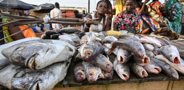Côte d&rsquo;Ivoire: Près de 200 personnes sont « légèrement intoxiquées » après…