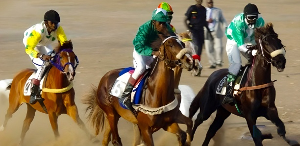 25e journée des courses Hippiques: sept catégories au départ pour le …