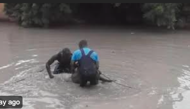 Fortes pluies : Quatre morts entre Thiès  Ziguinchor  et …