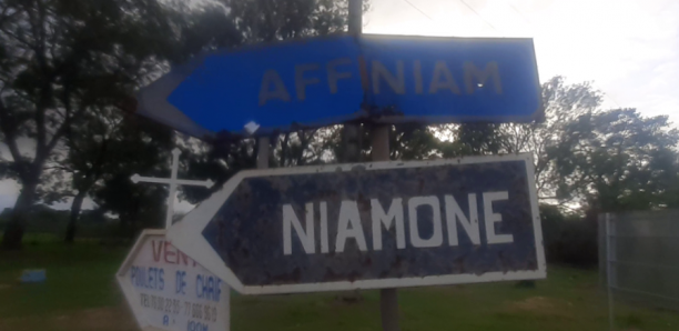 Arrêt des constructions dans la forêt classée de Bignona : Une longue marche vers la victoire