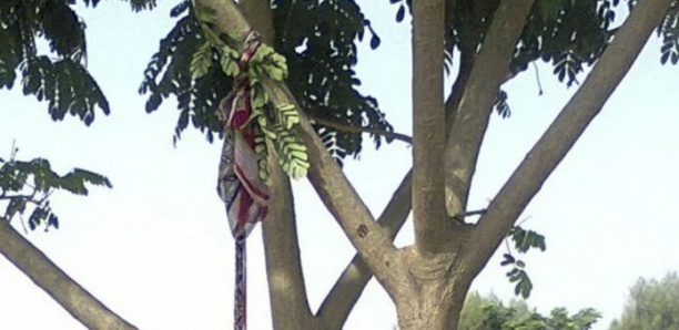 Téssékéré : porté disparu pendant 48h, un homme retrouvé mort pendu à un arbre