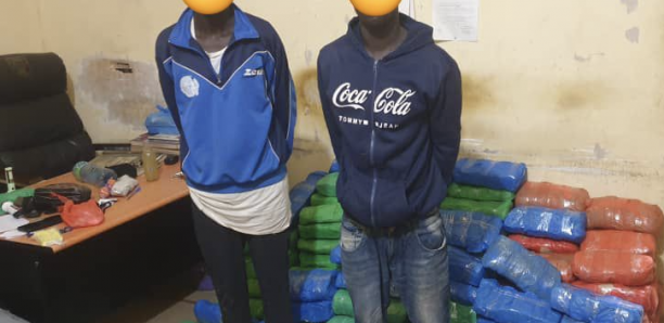 Karang:  2 dealers arrêté par L’OCRTIS avec 196 kg de chanvre indien