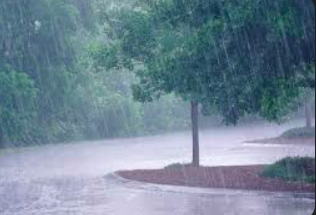 Anacim : Pluies et orages prévus dans plusieurs localités