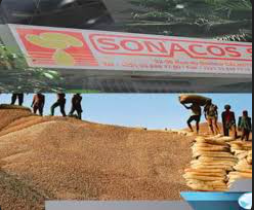 Kaolack : Le DG de la Sonacos annonce la reprise des activités