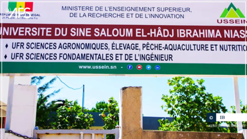 Crise au Crous du Sine-Saloum : 328 Licenciements Massifs en Jeu