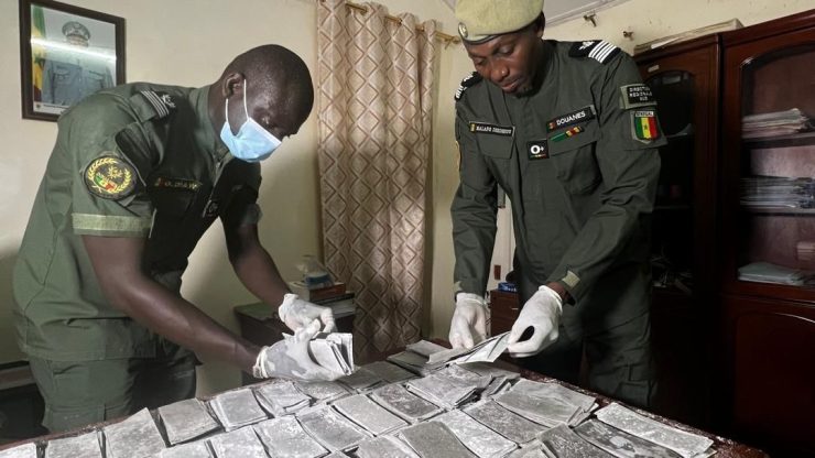 Trafic de chanvre en Casamance : quand les douanes sénégalaises frappent fort