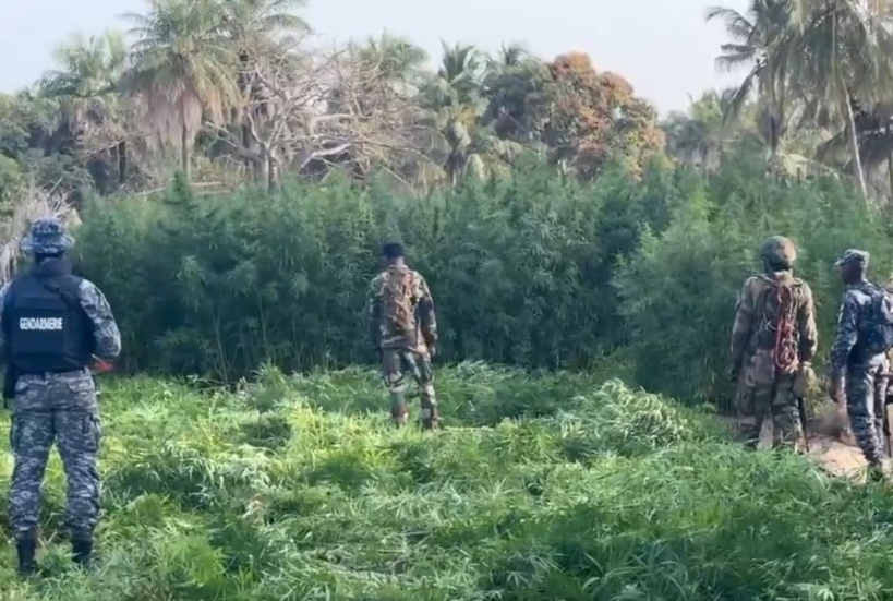 Département de Bignona : L&rsquo;armée et la gendarmerie lancent une vaste opération de sécurisation dans les îles Karone
