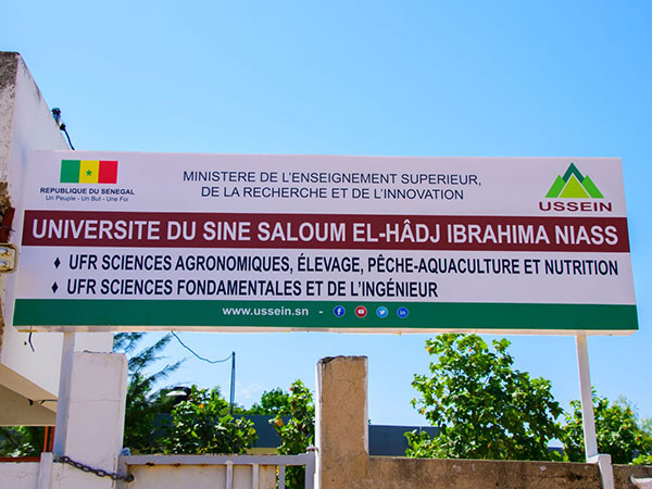 Contribution : Que faire  pour redresser le CROUS-SS Elhadji Ibrahima Niass ???