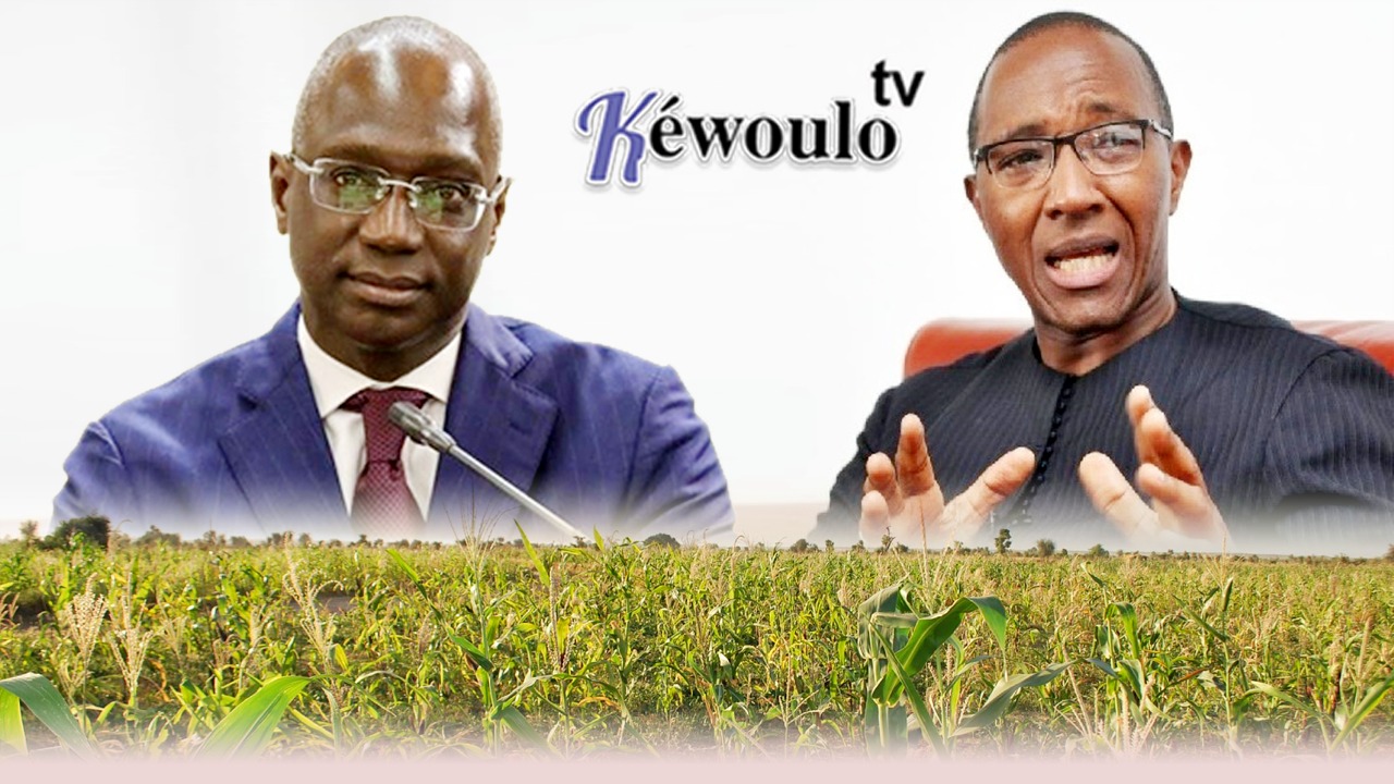 Gestion des 50 milliards F CFA pour l’agriculture : Mabouba Diagne défend le bilan du gouvernement