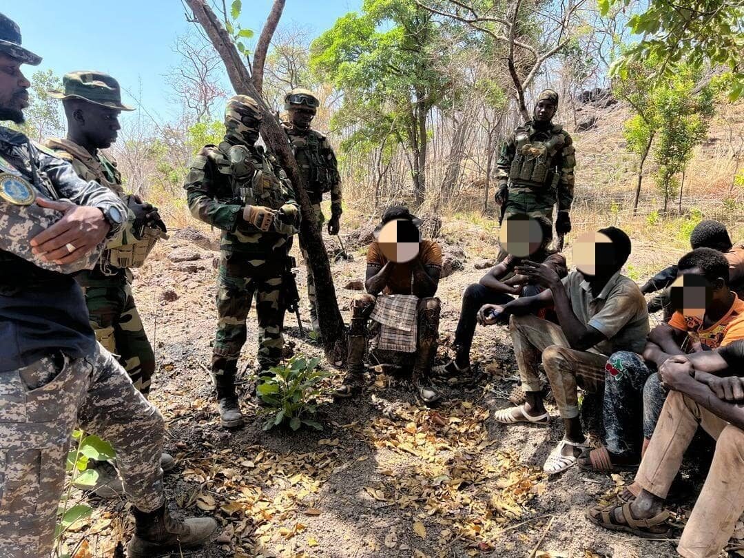 Opération militaire à tenkoto : démantèlement d’un site d’orpaillage clandestin et saisie de bois illicite
