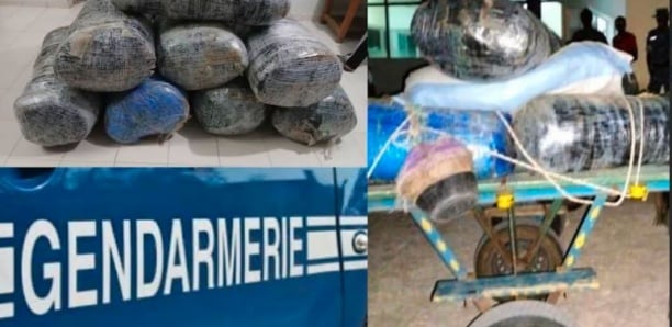 Fimela : La gendarmerie met la main sur 170 kg et traque les convoyeurs en fuite