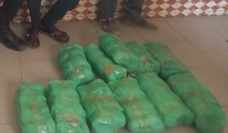 Touba : Saisie de 12 kg de chanvre indien, un homme interpellé 