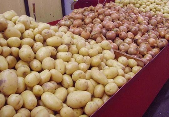 Le Sénégal met fin à l&rsquo;importation d&rsquo;oignons et de pommes de terre : Place à l&rsquo;autosuffisance et à la transformation industrielle