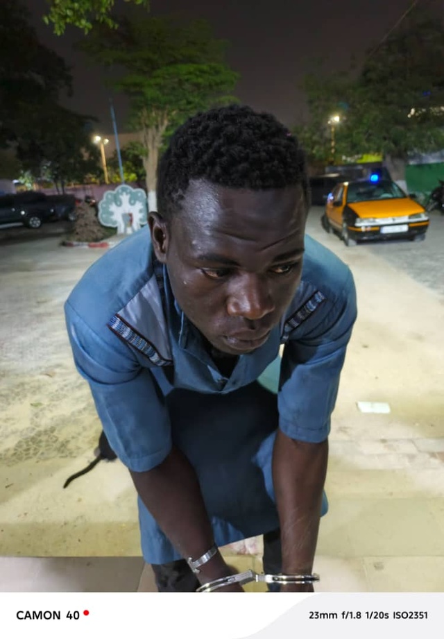 Médina : deux hommes arrêtés, soupçonnés de vouloir vendre de la viande de chat