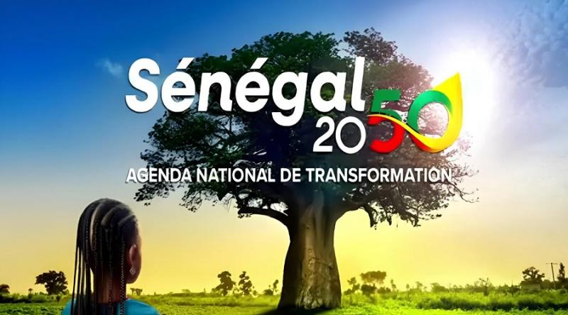 PAVIE 2 et Vision Sénégal 2050 : Les Stratégies Clés pour une Transformation Économique Inclusive et Durable (Par Dr. Seydina Oumar Seye)