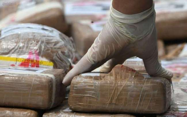 Trafic international de cocaïne : quatre (04) GP sénégalais cueillis à Madrid