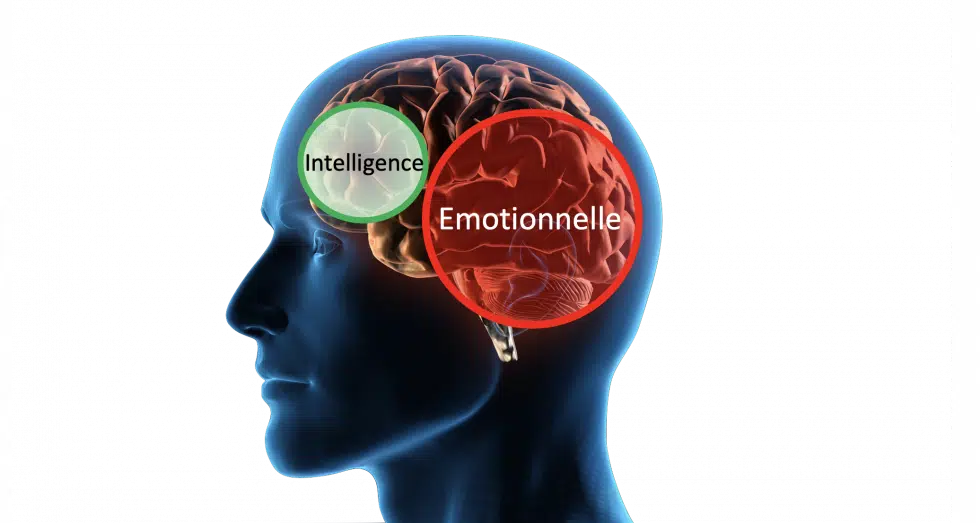 L&rsquo;intelligence émotionnelle au service du bien-être et des relations (Par doyen Ismaela Mbaye)