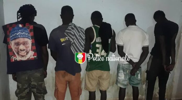 Jaxaay : Cinq individus interpellés pour trafic de Kush