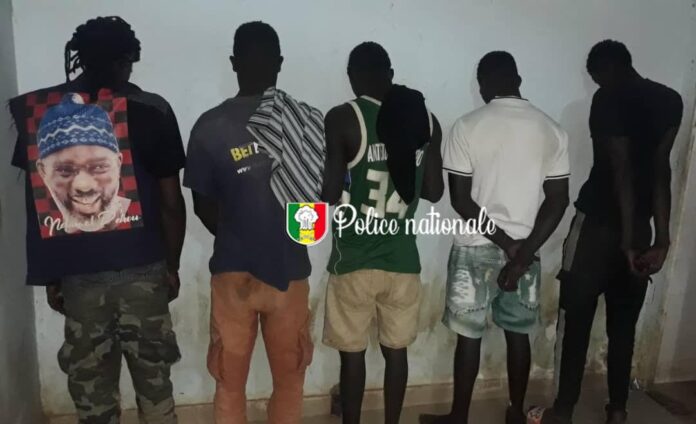 Jaxaay : Cinq individus interpellés pour trafic de Kush