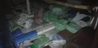 Saisie au large de Joal : 15 contrebandiers arrêtés avec une cargaison de 22 tonnes de cuisses de poulet