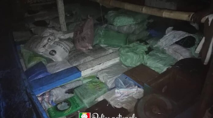 Saisie au large de Joal : 15 contrebandiers arrêtés avec une cargaison de 22 tonnes de cuisses de poulet