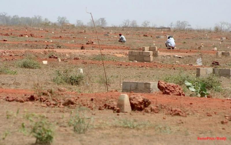 Au Sénégal, 90 % des plaintes à l’Ofnac concernent le foncier : les absents aux convocations désormais passibles de prison