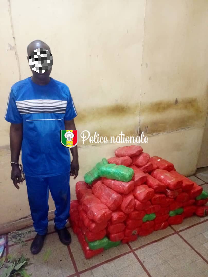 Trafic de drogue á Kaolack : 82 kg de chanvre indien saisis à Keur Laly, un convoyeur interpellé