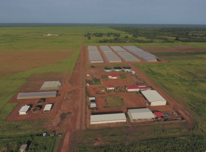PRODAC : Un catalyseur de développement ancré dans les territoires