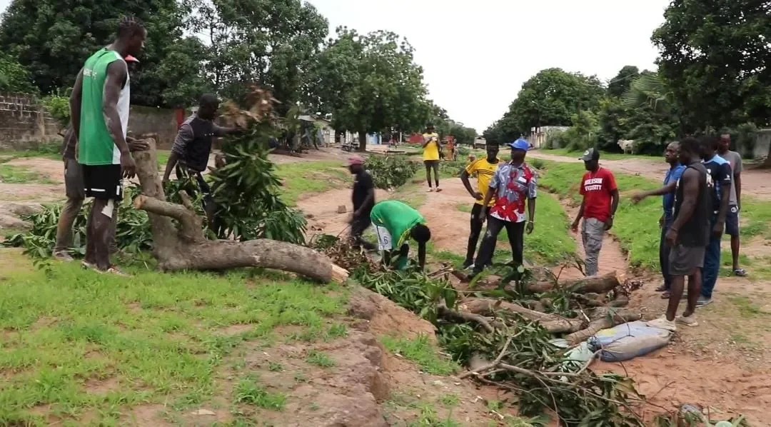 Réparation de routes : Au quartier Kénia de Ziguinchor, des jeunes à la tâche