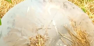 Tabanding : découverte d’un second objet mystérieux tombé du ciel, l’inquiétude grandit