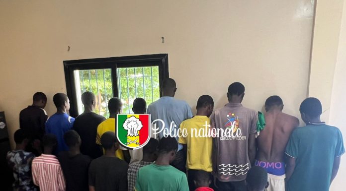 Saly : un réseau QNET démantelé !