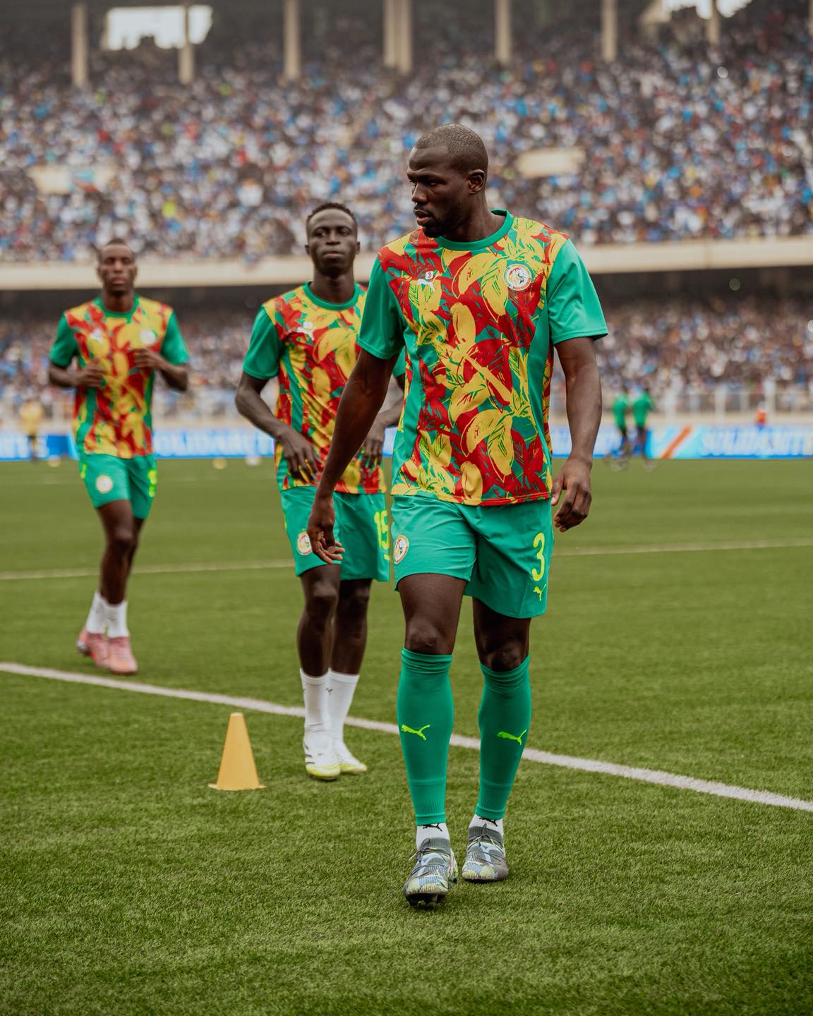 Les lions, le panache et la lucidité en plus (Par Mamadou KASSÉ)