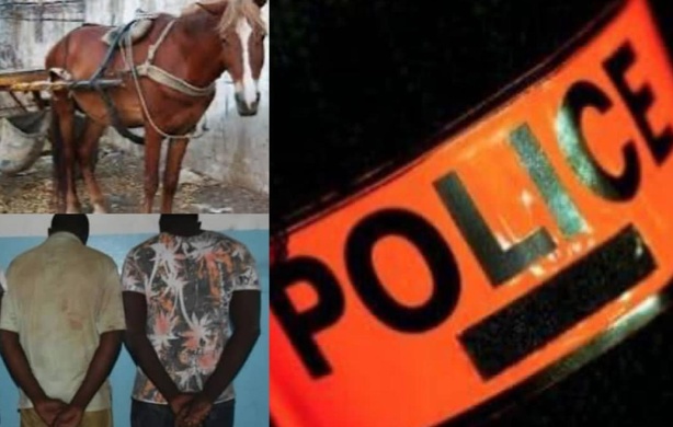 Rufisque : deux hommes séquestrent une fille de 14 ans et la violent pendant plusieurs jours