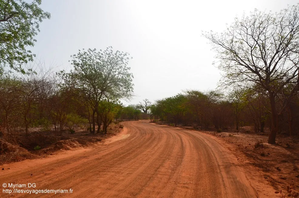 La route du supplice : Sindia–Bandia, le couloir de la honte