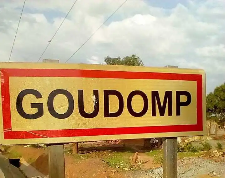 Goudomp : Des rizières vandalisées après un match de football