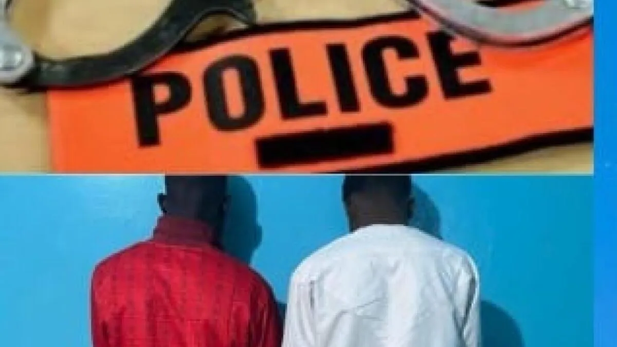 Touba: un réseau de voleurs de bétail démantelè