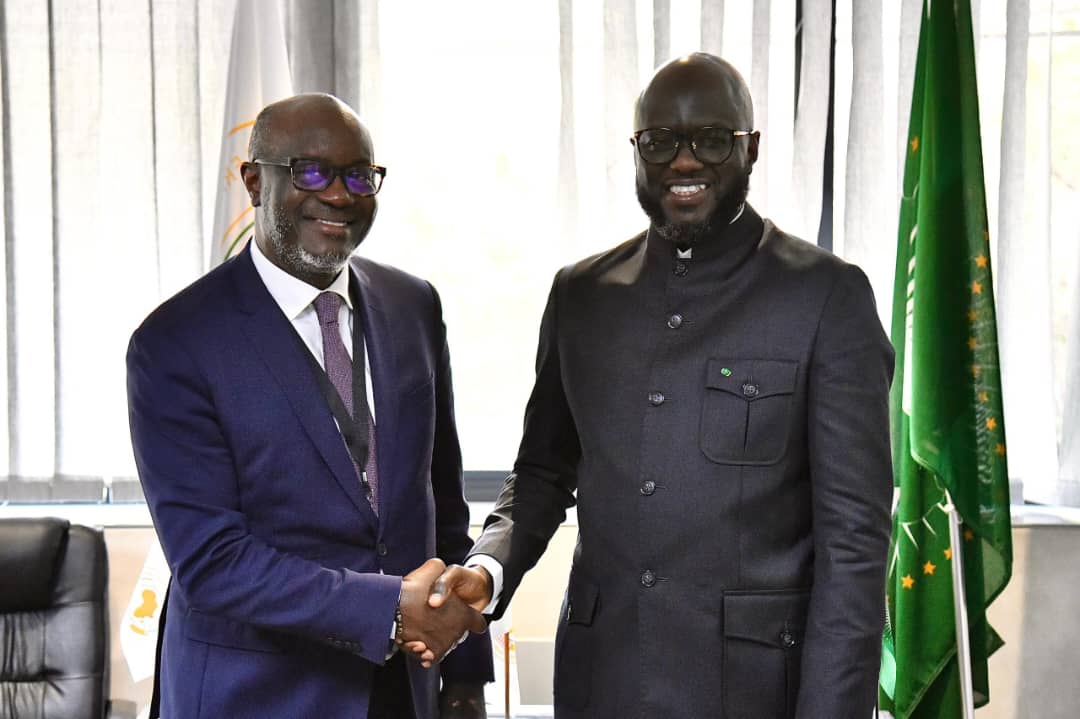 Afrique du Sud : Monsieur Oumar Doumbouya, Directeur des Bureaux extérieurs du Parlement européen reçu par El Malick Ndiaye