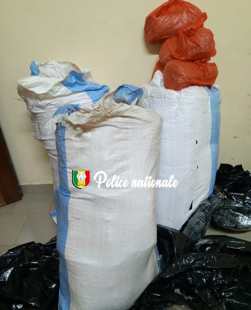 Mbour : 88 kg de chanvre indien saisis par la BRS