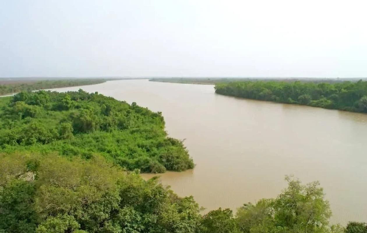 Bassin du fleuve Gambie : la décrue se poursuit dans la plupart des stations hydrométriques.