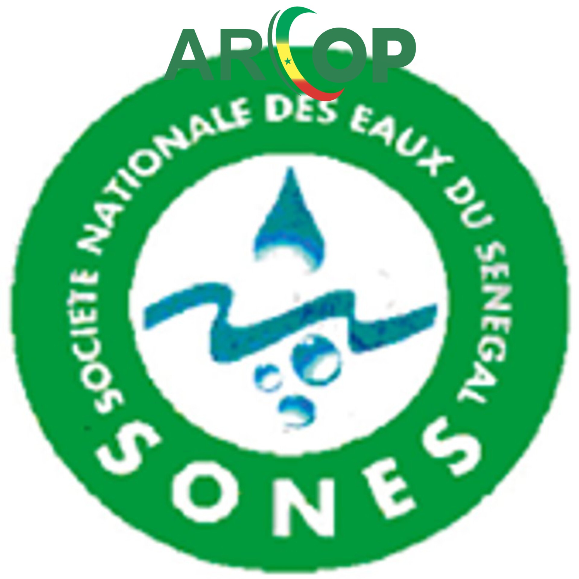 L’Arcop tacle la Sones sur un marché de 13, 429 milliards de Fcfa