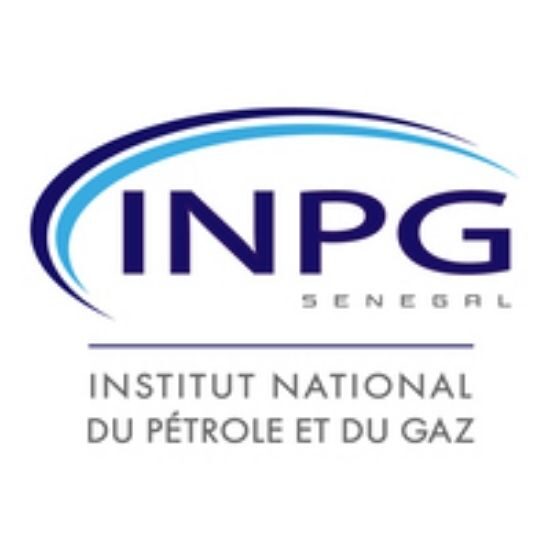 Pétrole et Gaz : Woodside Investit 100% dans la Formation de 14 Ingénieurs Sénégalais pour le Projet Sangomar