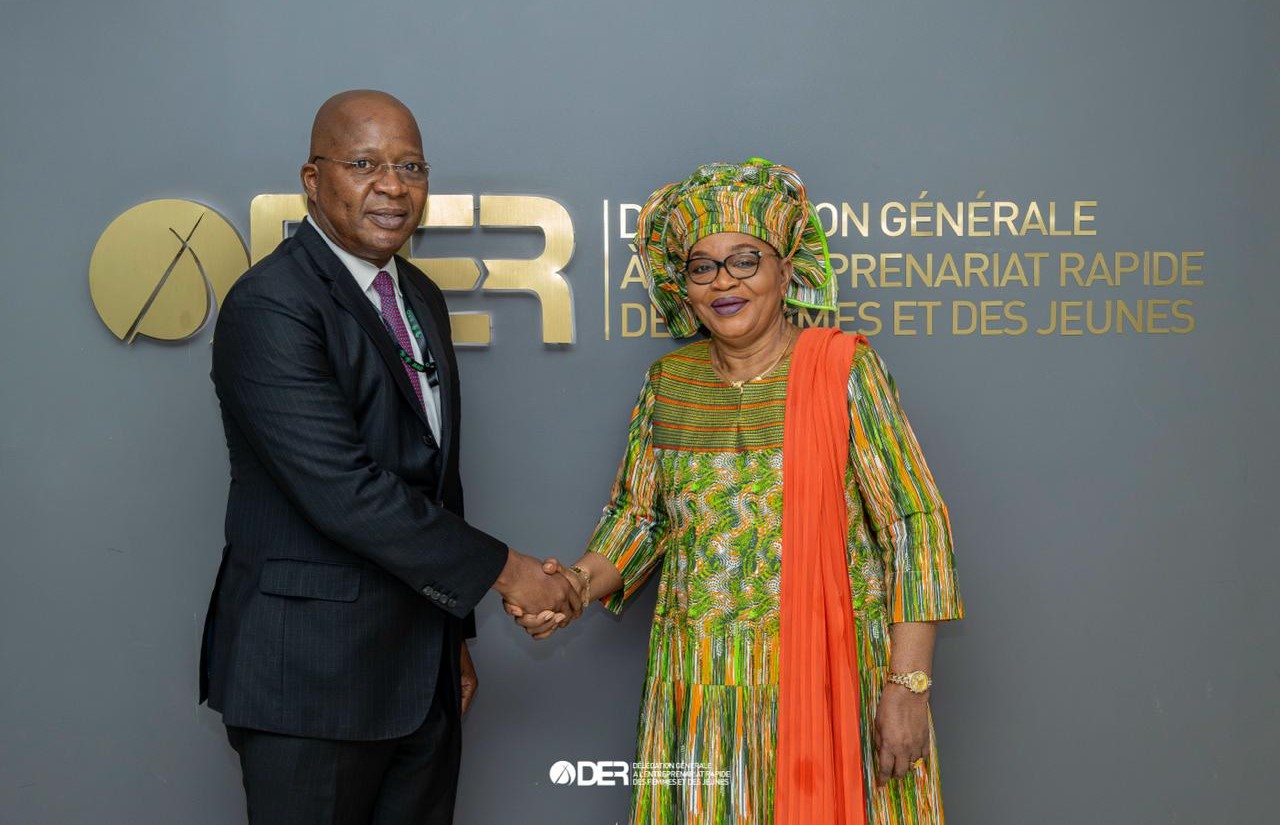 Visite de courtoisie: le nouveau représentant de la BAD réaffirme son engagement envers la DER/FJ et le PAVIE 2