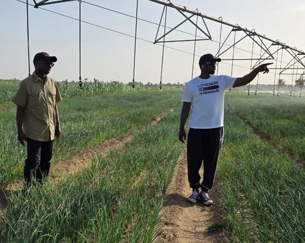 Mabouba Diagne : « J’ai accueilli Ousmane Sonko dans mes exploitations agricoles pour… »