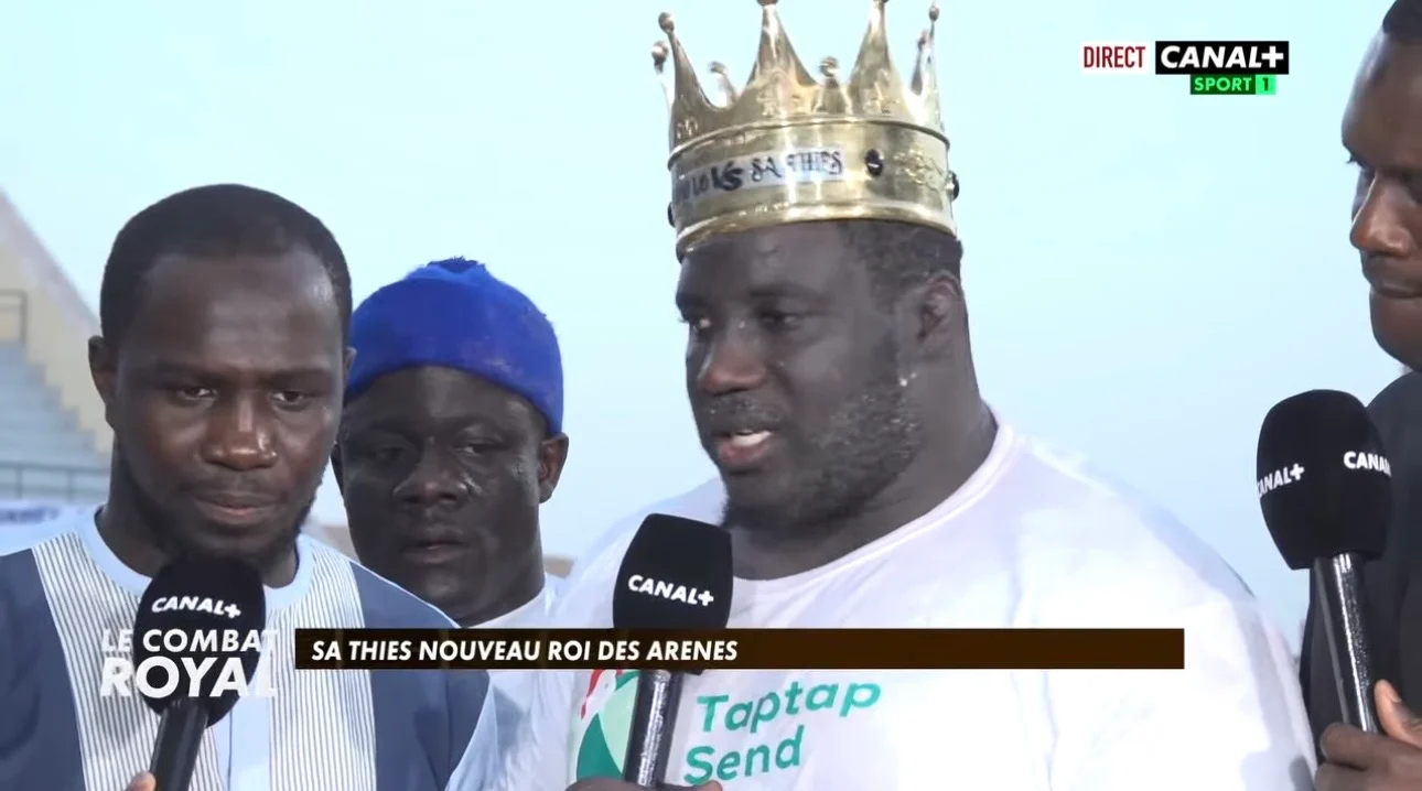 Lutte avec frappe: les télévisions sénégalaises détrônées par Canal+ (Par Mohamed Gassama)