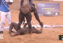Lutte: les 4 lutteurs choisis par Sa Thiès selon Aziz Ndiaye, Franc exclu
