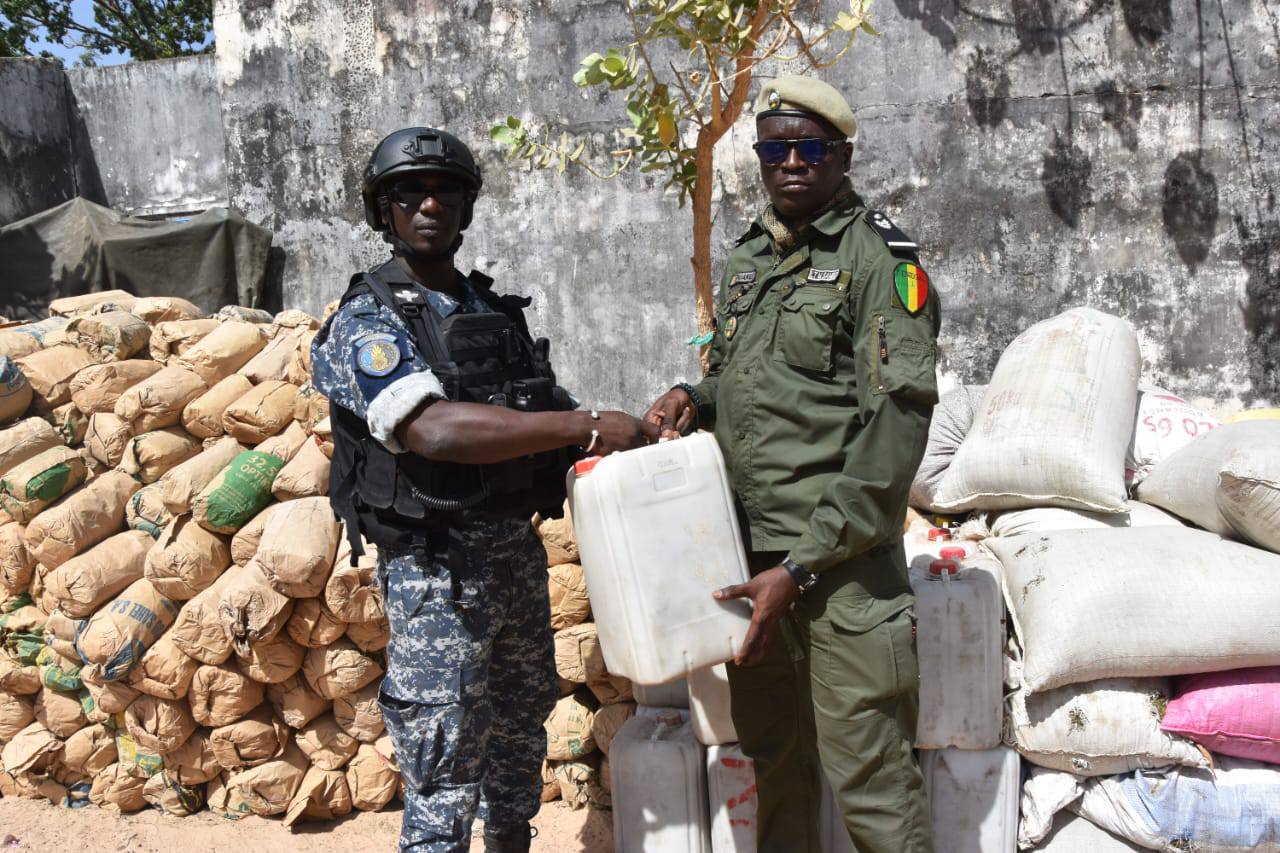 Casamance Opération ELOL – 400 millions de FCfa et 6 tonnes de Yamba saisis