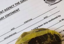 Trafic de drogue à la frontière : Un Sénégalais arrêté avec du haschich à Kerr Jatta